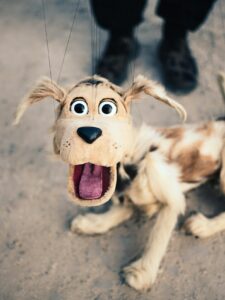 attachment-5f860a9120d285781e7c4d36